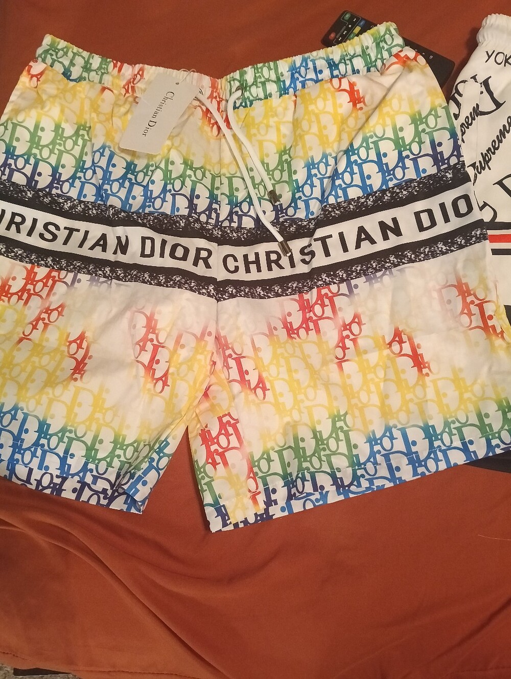 Dior Men’s Rainbow Logo Swim Shorts - White Base